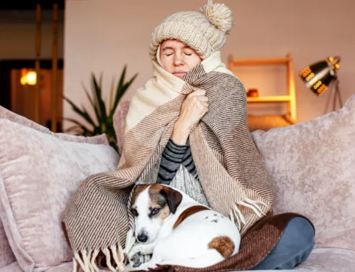 Emergency HVAC Repairs in Southeastern PA: What to Do When Your Heat Stops Working